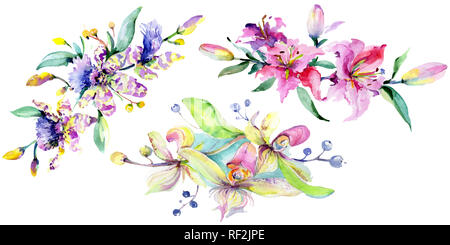 Rosa und Lila Orchidee. Florale botanischen Blume. Wild Federblatt wildflower isoliert. Aquarell Hintergrund Abbildung. Aquarell isoliert Bo Stockfoto