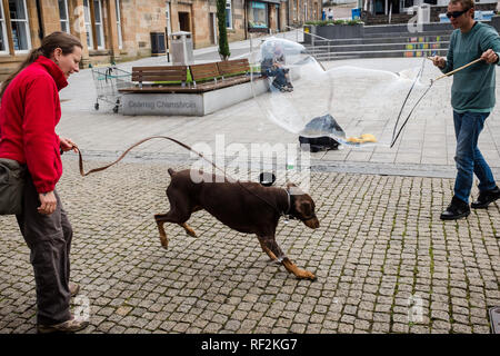 Großer Hund jagt Blasen in Fort William High Street highlands Schottland als street Entertainer große Blase erzeugt Stockfoto