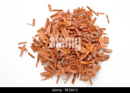 Getrocknete Sandelholz (pterocarpus) Rinde Chips, Heilpflanzen Stockfoto