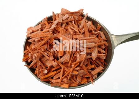 Getrocknete Sandelholz (pterocarpus) Rinde Chips in einem Messlöffel, Heilpflanzen Stockfoto