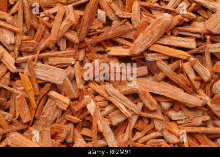 Getrocknete Sandelholz (pterocarpus) Rinde Chips, Heilpflanzen Stockfoto