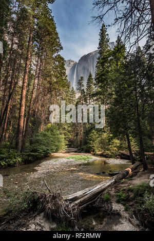 Die majestätischen Yosemite Falls im Sommer von einer kleinen Brücke auf der unteren Yosemite Falls entfernt. Stockfoto