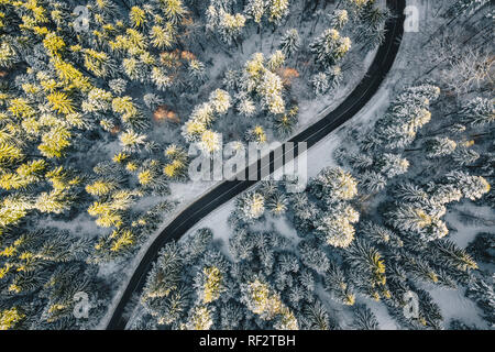 Leere Straße durch einen Wald im Winter Stockfoto