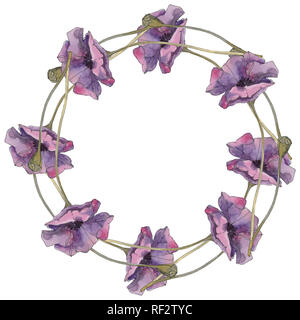 Rot und Lila Mohn Blumen botanischen Blume. Wild Federblatt isoliert. Aquarell Hintergrund Abbildung. Aquarell Zeichnung mode Aquarelle Stockfoto