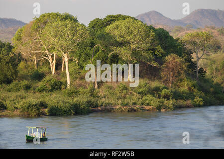 Die Malawi Shire River ist der grösste und einzige Steckdose des Lake Malawi; Besucher Majete Wildlife Reserve genießen Sie einen Nachmittag Spiel anzeigen Bootsfahrt Stockfoto