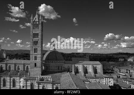 Der Dom von Siena, von den "Facciatone" gesehen von der Duomo Nuovo, über die Piazza Iacopo della Quercia, Siena, Toskana, Italien: Schwarzweiß-Version Stockfoto