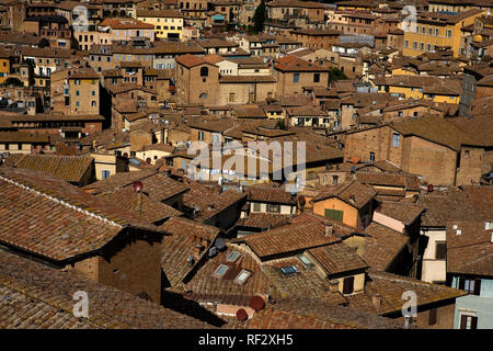 Siena Dächer, gesehen aus der "Facciatone" Duomo Nuovo, Siena, Toskana, Italien Stockfoto