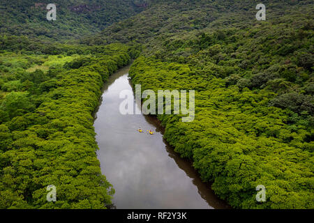 Paar kayaker Paddeln in einem Kanu auf einem Fluß in den tropischen Regenwald, Japan, flachkopfkatze osland Stockfoto