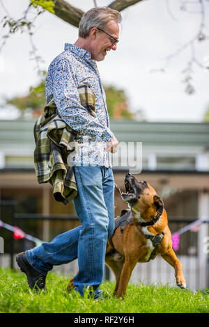 Ein Mann mit seinem Hund bellt im Park auf einer Hundeausstellung Stockfoto