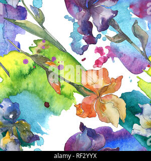 Lila, Rot, Orange und Blau iris Blumen botanischen Blume. Aquarell Hintergrund gesetzt. Aquarell Zeichnung mode Aquarelle. Nahtlose Hintergrund pat Stockfoto