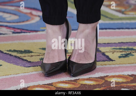 Madrid, Madrid, Spanien. 24 Jan, 2019. Queen Letizia von Spanien besucht, um das Publikum auf eine Darstellung der "avi Calzada Neue Technologien "Handball Club im Zarzuela Palast am 24. Januar 2019 in Madrid, Spanien Credit: Jack Abuin/ZUMA Draht/Alamy leben Nachrichten Stockfoto