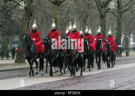 London, Großbritannien. 24. Jan 2019. UK Wetter: Mitglieder der Household Cavalry Fahrt auf Constitution Hill an einem kalten und regnerischen Tag in London mit Temperaturen unter dem Gefrierpunkt Credit: Amer ghazzal/Alamy leben Nachrichten Stockfoto