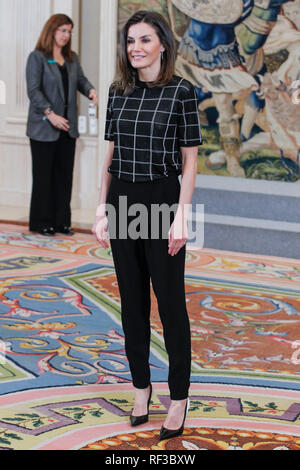 Madrid, Spanien. 24 Jan, 2019. Queen Letizia von Spanien besucht, um das Publikum auf eine Darstellung der "avi Calzada Neue Technologien "Handball Club im Zarzuela Palast am 24. Januar 2019 in Madrid, Spanien. Credit: Jimmy Olsen/Medien Punch *** Keine Spanien***/Alamy leben Nachrichten Stockfoto
