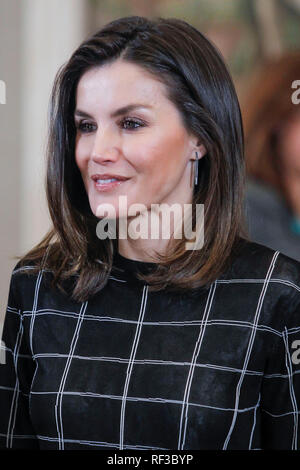 Madrid, Spanien. 24 Jan, 2019. Queen Letizia von Spanien besucht, um das Publikum auf eine Darstellung der "avi Calzada Neue Technologien "Handball Club im Zarzuela Palast am 24. Januar 2019 in Madrid, Spanien. Credit: Jimmy Olsen/Medien Punch *** Keine Spanien***/Alamy leben Nachrichten Stockfoto