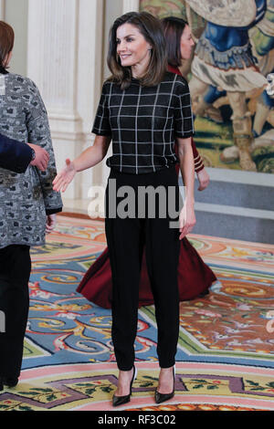 Madrid, Spanien. 24 Jan, 2019. Queen Letizia von Spanien besucht, um das Publikum auf eine Darstellung der "avi Calzada Neue Technologien "Handball Club im Zarzuela Palast am 24. Januar 2019 in Madrid, Spanien. Credit: Jimmy Olsen/Medien Punch *** Keine Spanien***/Alamy leben Nachrichten Stockfoto