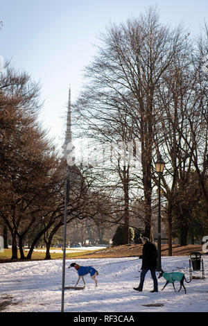 Foto LaPresse/Nicol &#xf2; Campo 24/01/2019 Turin (Italia) Cronaca Neve a Torino Nella Foto: i Giardini Reali Foto/LaPresse Nicol &#xf2; Campo Januar 24, 2019 Turin (Italien) Nachrichten Schneefall in Turin im Bild: Royal Gardens Stockfoto