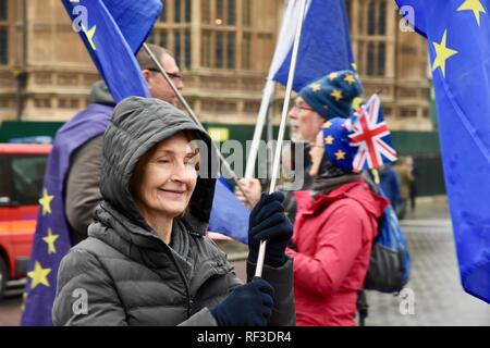 London, Großbritannien. 24. Jan 2019. Anti Brexit Demonstranten. Houses of Parliament, London.UK Credit: michael Melia/Alamy leben Nachrichten Stockfoto