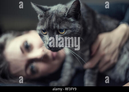 Portrait von grauen Tabby Katze und Besitzer im Hintergrund Stockfoto