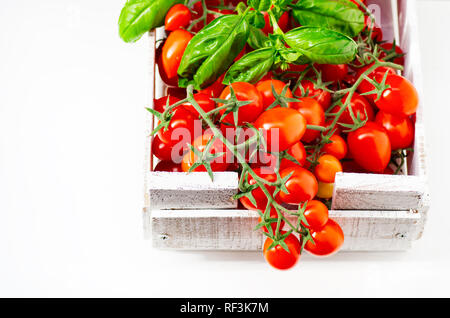 Kommissionierung Tomaten. Kirschtomaten auf eine Zweigniederlassung, die in einem hölzernen Kasten auf einem weißen Hintergrund. Frische Basilikumblätter. Stockfoto