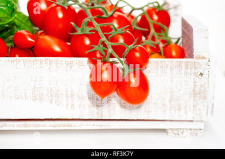 Kommissionierung Tomaten. Kirschtomaten auf eine Zweigniederlassung, die in einem hölzernen Kasten auf einem weißen Hintergrund. Stockfoto