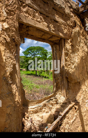 Ruiniertes Schlammhausfenster mit Blick auf den Baum Stockfoto