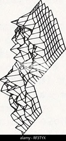 . Aktuelle Themen in waldentomologie: Ausgewählte Vorträge aus dem XV. Internationalen Kongress der Entomologie, Washington, D.C., 1976. Wald Insekten Kongresse. . Bitte beachten Sie, dass diese Bilder sind von der gescannten Seite Bilder, die digital für die Lesbarkeit verbessert haben mögen - Färbung und Aussehen dieser Abbildungen können nicht perfekt dem Original ähneln. extrahiert. Internationalen Kongresses der Entomologie (15.: 1976: Washington, D.C.). Washington: United States Abt. Landwirtschaft, Forest Service Stockfoto