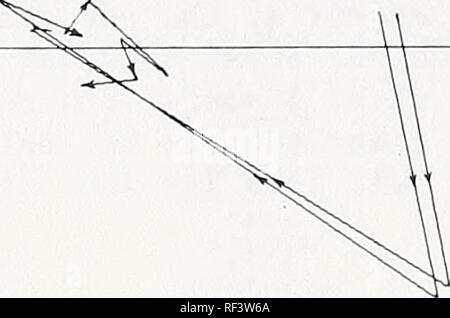 . Aktuelle Themen in waldentomologie: Ausgewählte Vorträge aus dem XV. Internationalen Kongress der Entomologie, Washington, D.C., 1976. Wald Insekten Kongresse. . Bitte beachten Sie, dass diese Bilder sind von der gescannten Seite Bilder, die digital für die Lesbarkeit verbessert haben mögen - Färbung und Aussehen dieser Abbildungen können nicht perfekt dem Original ähneln. extrahiert. Internationalen Kongresses der Entomologie (15.: 1976: Washington, D.C.). Washington: United States Abt. Landwirtschaft, Forest Service Stockfoto