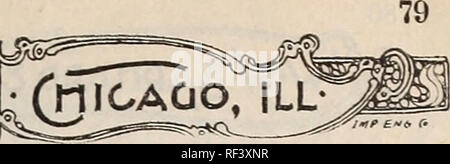 . Neuheiten und Spezialitäten für 1897. Baumschulen Illinois Chicago Kataloge; Samen Sorten Kataloge; Blumen; Lampen Pflanzen Samen Kataloge Kataloge; Blühende Sträucher Kataloge. Niederrhein 6 eed 5. Bitte beachten Sie, dass diese Bilder sind von der gescannten Seite Bilder, die digital für die Lesbarkeit verbessert haben mögen - Färbung und Aussehen dieser Abbildungen können nicht perfekt dem Original ähneln. extrahiert. W. W. Barnard &Amp; Co; Henry G. Gilbert Baumschule und Saatgut Handel Katalog Kollektion. Chicago, Illinois: W. W. Barnard &Amp; Co. Stockfoto