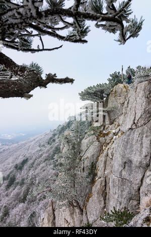 Weissenbach an der Triesting: Berg Berg Peilstein, Felsen, Gipfelkreuz, Bäume im Wienerwald, Wienerwald, Niederösterreich, Niederösterreich, Austr Stockfoto