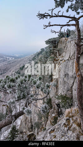 Weissenbach an der Triesting: Berg Berg Peilstein, Felsen, Gipfelkreuz, Bäume im Wienerwald, Wienerwald, Niederösterreich, Niederösterreich, Austr Stockfoto