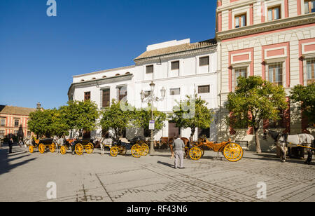 Sevilla, Pferdekutschen aufgereiht an der Plaza del Triunfo, Sevilla, Sevilla, Andalusien, Südspanien. Stockfoto