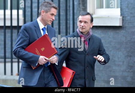 Gavin Williamson MP und Alun Cairns MP verlassen Downing Street nach einer langen kabinettssitzung 22.01.2019 Stockfoto