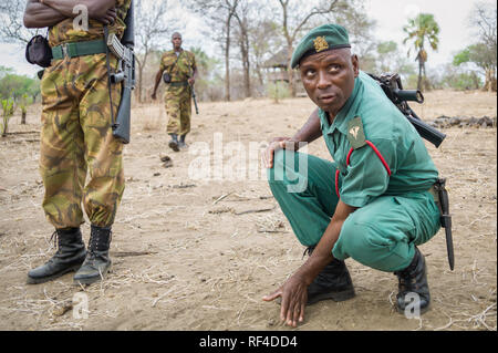 Förster oder Pfadfinder aus majete's Wildlife Reserve Strafverfolgungsbehörden Team führen Feld Übungen zu verfolgen, die Tierwelt und Black Rhino von Wilderei schützen Stockfoto