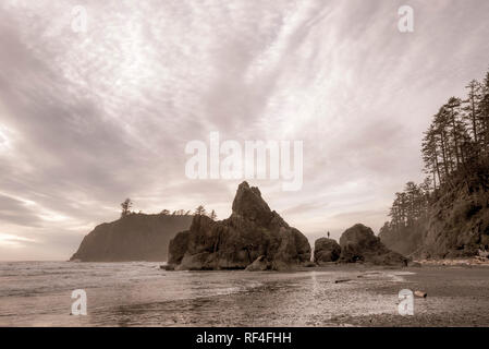 Sea Stacks im Ruby Beach, Olympic National Park, Washington. Stockfoto