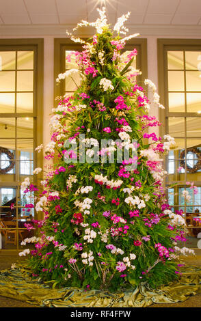 Orchid Weihnachtsbaum Stockfoto