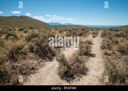 Wagon Spurrinnen auf der Nationalen Historischen Oregon Trail Interpretive Centre in Flagstaff Hill in der Nähe von Baker City, Oregon. Stockfoto