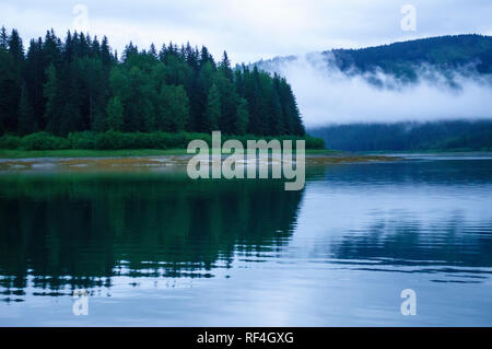 Schöne Natur Szene in einer ruhigen Bucht in Glacier Bay National Park. Bewaldete Insel Küstenlinien sind in den ruhigen Wassern der Bucht nieder. Stockfoto