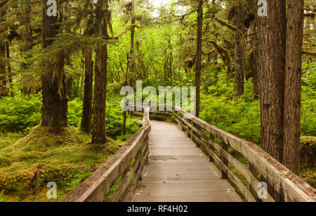 Eine Promenade, die durch die Bäume auf den Wald Loop Trail in der Nähe von Bartlett Cove, Glacier Bay National Park, Alaska ist zugänglich für Behinderte. Stockfoto