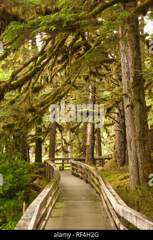 Eine Promenade, die durch die Bäume auf den Wald Loop Trail in der Nähe von Bartlett Cove, Glacier Bay National Park, Alaska ist zugänglich für Behinderte. Stockfoto