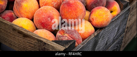 Nur rippened Pfirsiche in Holzkisten bereit zu essen abgeholt. Stockfoto