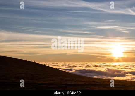 Pferde Silhouetten auf einem Berg über dem Hochnebel bei Sonnenuntergang, mit schönen warmen Farben Stockfoto