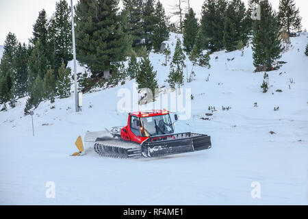 Rote Pisten Bully Reinigung Schnee im Winter Berg mit Pine Tree Hintergrund Stockfoto