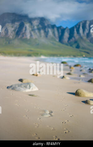 Kogel Bay liegt im Indischen Ozean zwischen Gordon's Bay und Rooi Els und verfügt über Kilometer von Unbebauten Sandstrand inmitten von Bergen und Fynbos Stockfoto