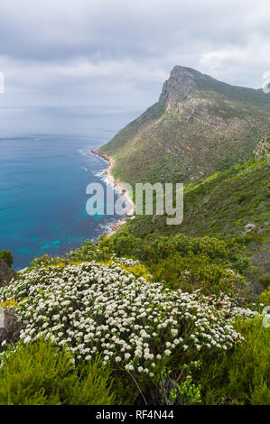 Das Kap der Guten Hoffnung, Tafelberg Nationalpark, Kapstadt, Südafrika ist als Treffpunkt der zwei Ozeane: Indischen und Atlantischen erkannt Stockfoto