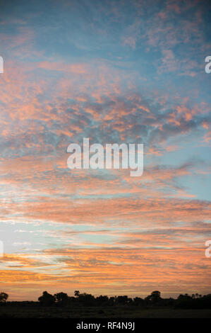 Das Okavango Delta, Botswana, Funktionen firey Sonnenuntergänge surving als Kulisse für einen Sundowner. Stockfoto