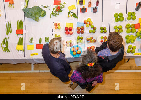 Menschen sehen frisch homegrown produzieren (Obst und Gemüse) Display im Village Hall Wettbewerb - Gärtner zeigen, Burley-in-Wharfedale, Yorkshire, England, UK. Stockfoto