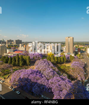 Ein Blick auf die CBD in Harare Jacaranda Saison. Stockfoto