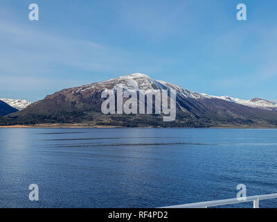 Pinguine auf der Isla Martillo, Beagle-kanal Ushuaia Patagonien Feuerland Argentinien Stockfoto