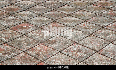 Alt, dreckig und bemoosten Dachziegel Stockfoto
