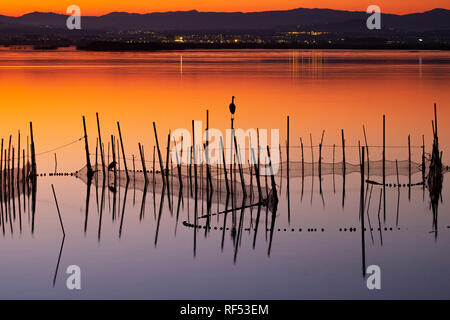 Fischernetze und -Reiher im Naturreservat La Albufera, El Palmar, Valencia, Comunidad Valencia Stockfoto